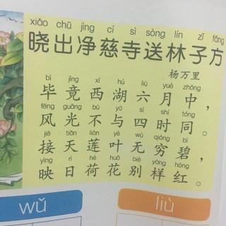 晓出净慈寺送林子方