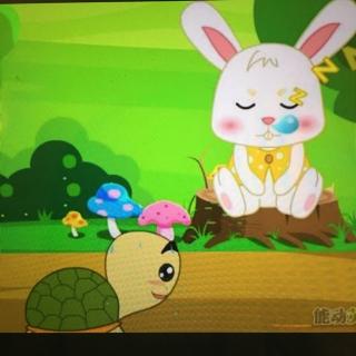【龟兔赛跑】在线收听_朵朵麻麻の晚安故事_荔枝fm