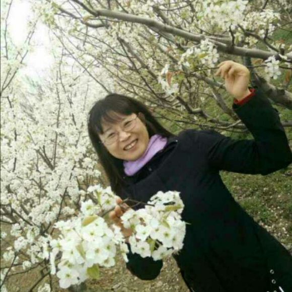 桐树是先开花后长叶子的.图片