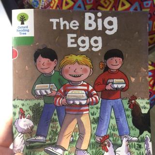 the big egg