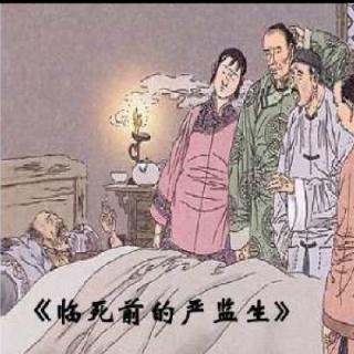 描写严监生奄奄一息的词语