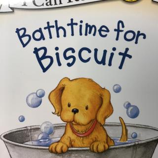 bathtime for biscuit