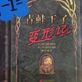 青蛙王子变形记