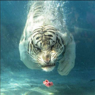 【《我爱你,再见》\/酷酷的滕】在线收听_邬朵