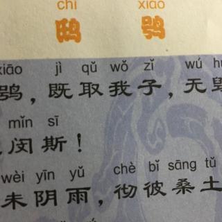 诗经 鸱鸮