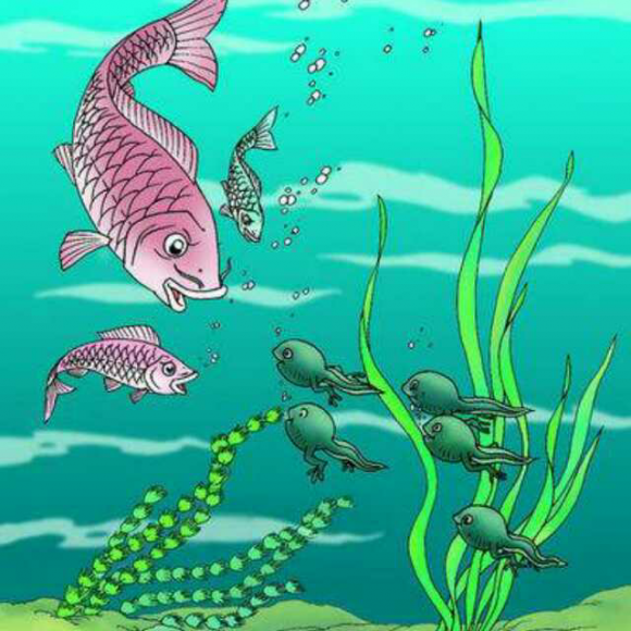 上海美术电影制片厂的经典作品《小蝌蚪找妈妈》