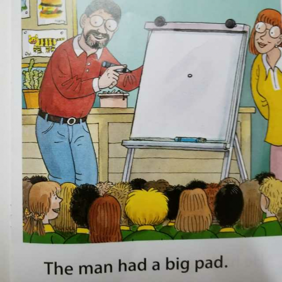 the picture book man