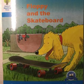 floppy and the skateboard