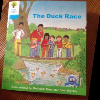 the duck race