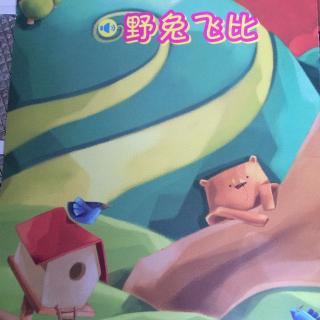 野兔飞比