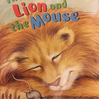 andy-the lion and the mouse