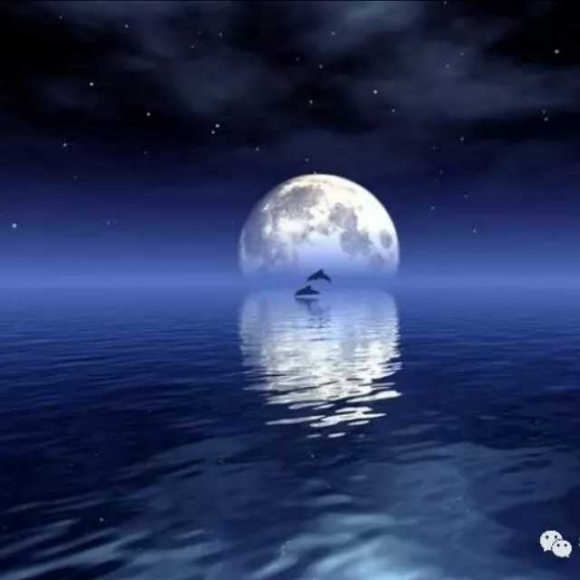 思念是一种美丽的孤独 海上明月
