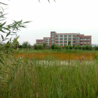 【多陪陪父母吧,不要让父母瞬间变老】在线收