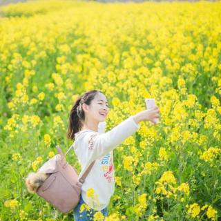 风吹麦浪