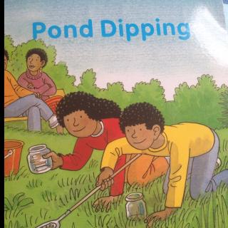 pond dipping