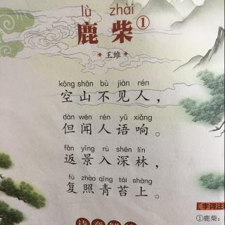 鹿柴 王维 背诵 鲲宝