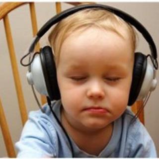 前额皮质?超万年的进化,人与动物最大的区别