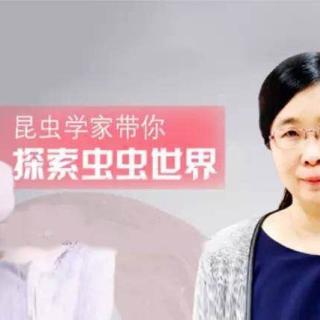 【第七讲:滚粪球的大自然清道夫:屎壳郎】在线