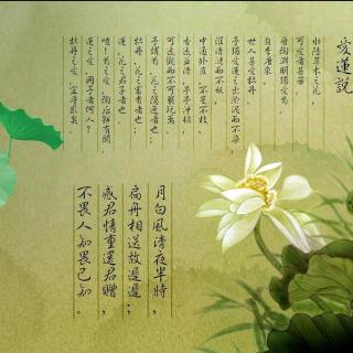 《爱莲说》,作者:周敦颐(北宋),朗诵:梁媛媛