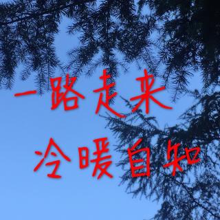 一路走来,冷暖自知