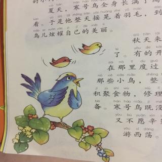 寒号鸟