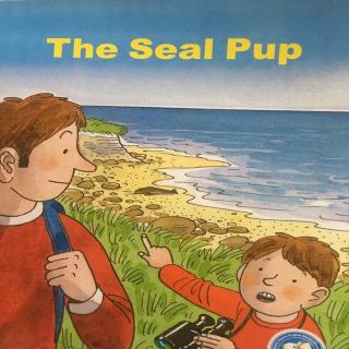 11 july peter the seal pup 牛津树4