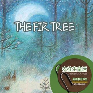 the fir tree(英文原声鉴赏)