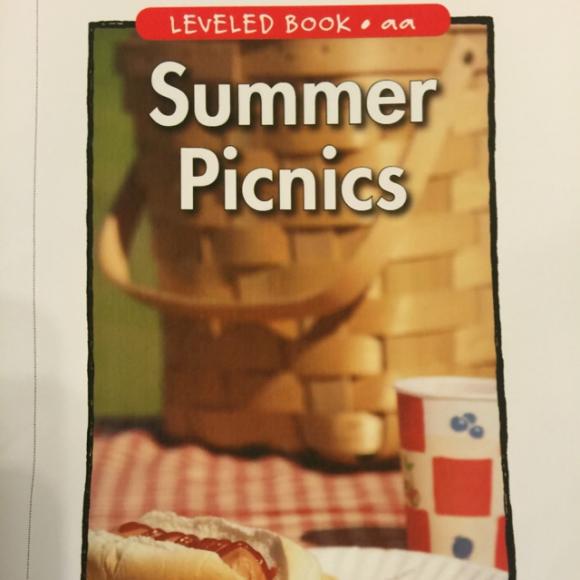 summer picnics