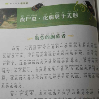 腐臭记--食尸虫化昆虫于无形勤劳的压轴者,初中物理作法电功率掘墓题死尸图片