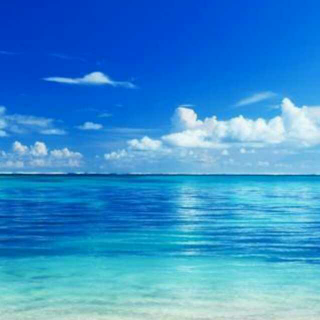 小学生作文 螳螂的白裙子