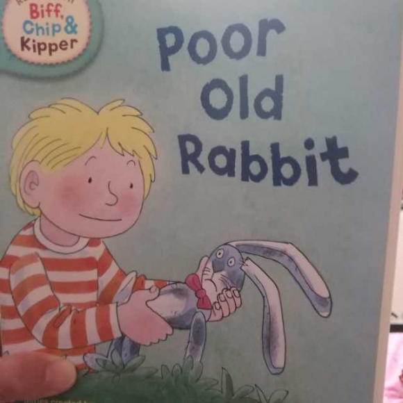 poor old rabbit