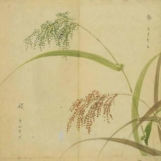诗经:越古老,越美好—王风·黍离