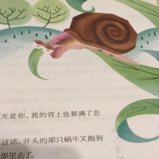 蜗牛的悲哀