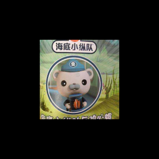海底小纵队与鸡心螺-默默主讲