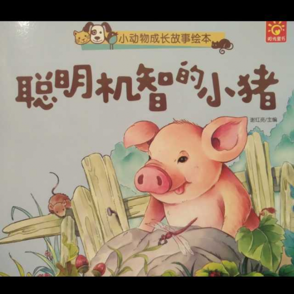 欢欢老师讲故事:《聪明机智的小猪》