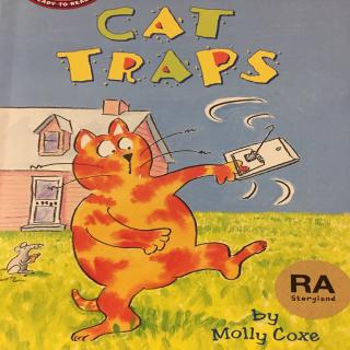 cat traps