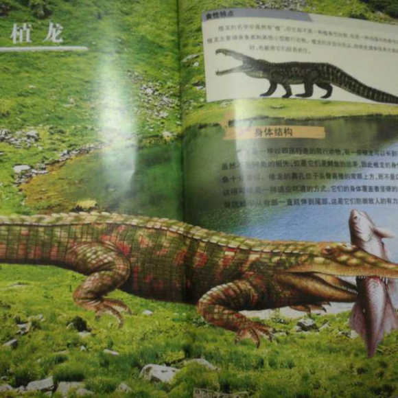 恐龙系列《植龙,有角鳄,引鳄,铁沁鳄》