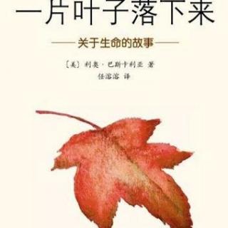 【一片叶子落下来】在线收听_金茂幼儿园有声故事_荔枝FM