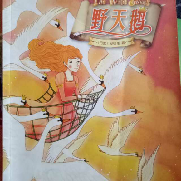 第144集亲子绘本《野天鹅》