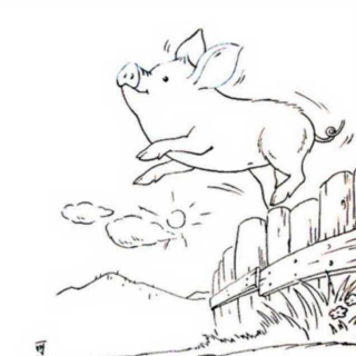 【一只特立独行的猪】在线收听_朕的's猫_荔枝