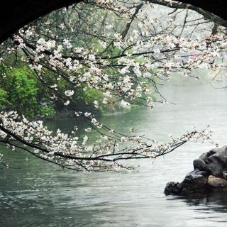 【春天，遂想起】在线收听_念给你听的情书_荔枝FM