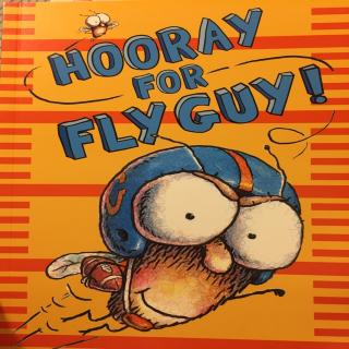 hooray for fly guy 20170814