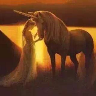 你的样子高宁现场