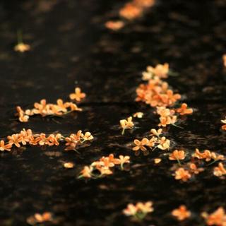 再不见雷锋/"这年头活着不易"-徐志摩 播者/小诗