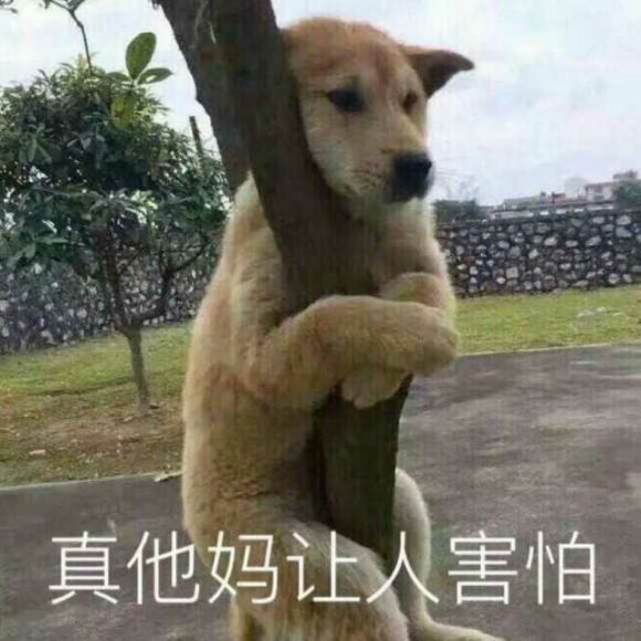 心软和不好意思,真的会杀死你自己