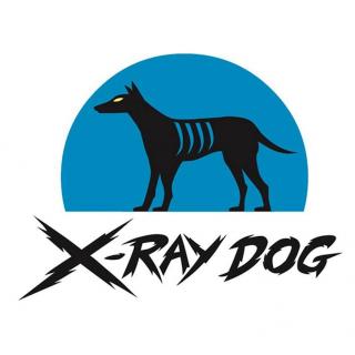 好莱坞音乐工作室x-ray dog,史诗音乐巨擘!