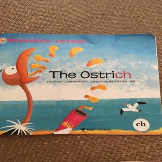 the ostrich