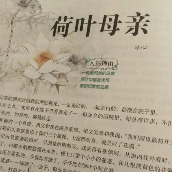 荷叶母亲 冰心