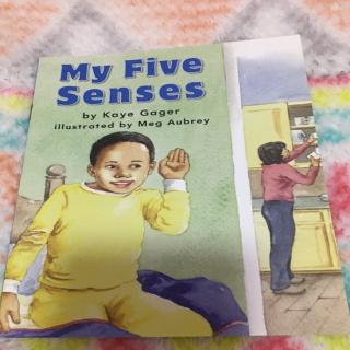 英文绘本-my five senses