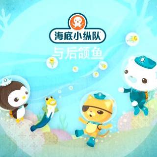 56第二季 第6集 海底小纵队与后颌鱼